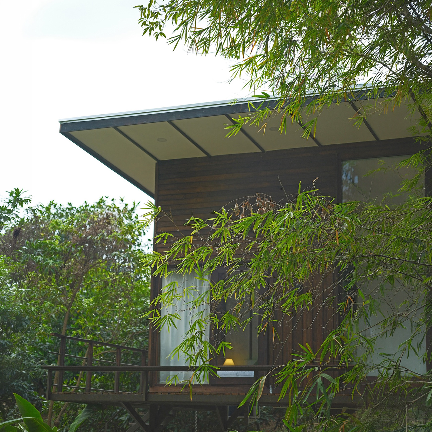 Cabin at dusk through bamboo