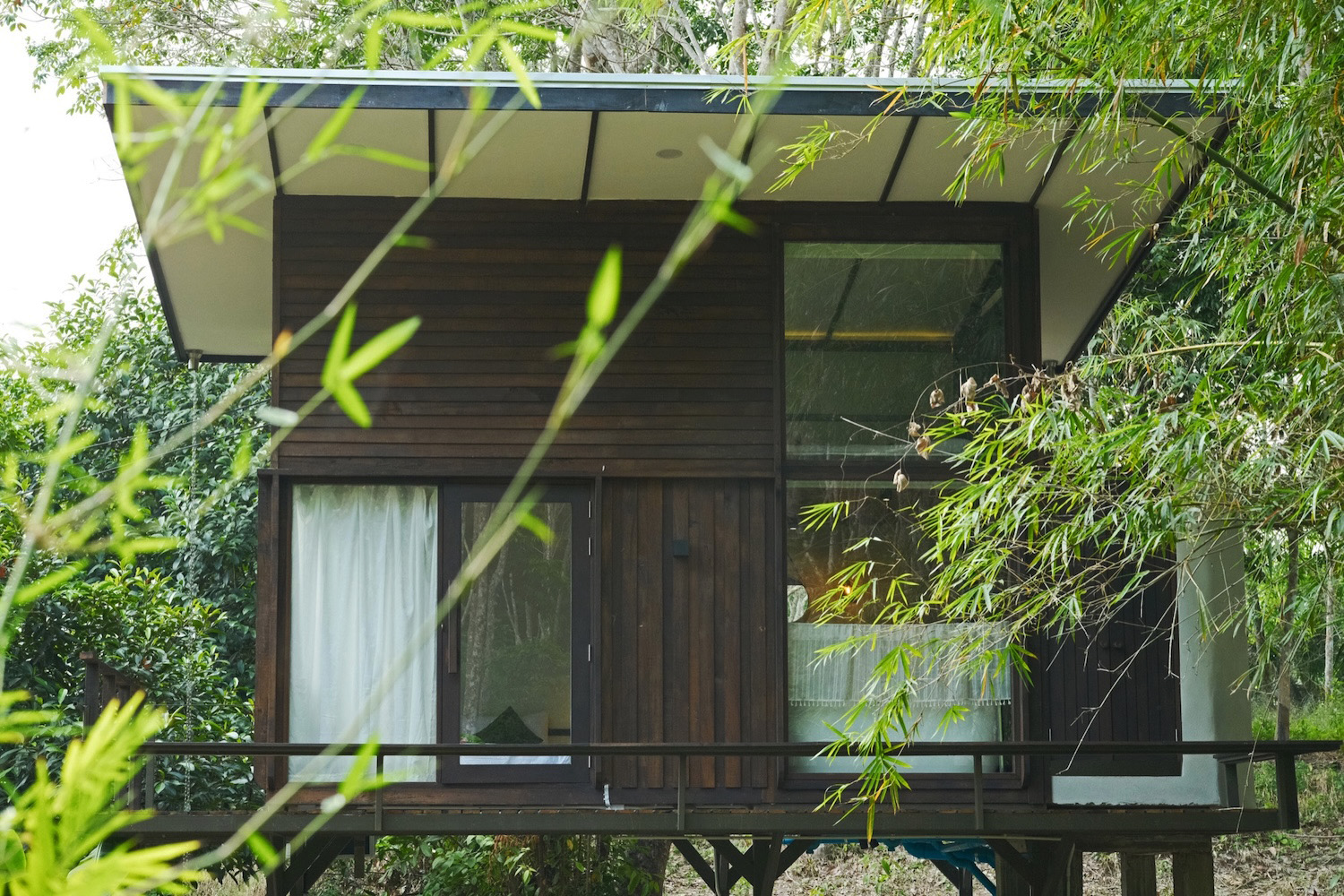 Cabin exterior among bamboo