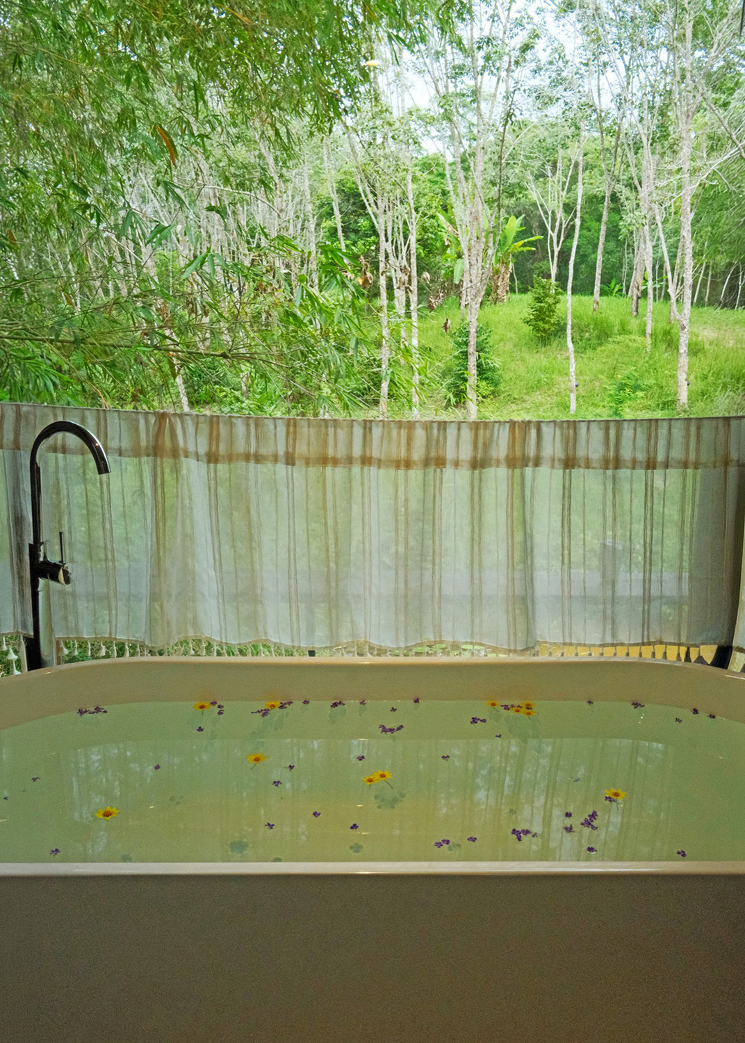 Flower bath with garden view