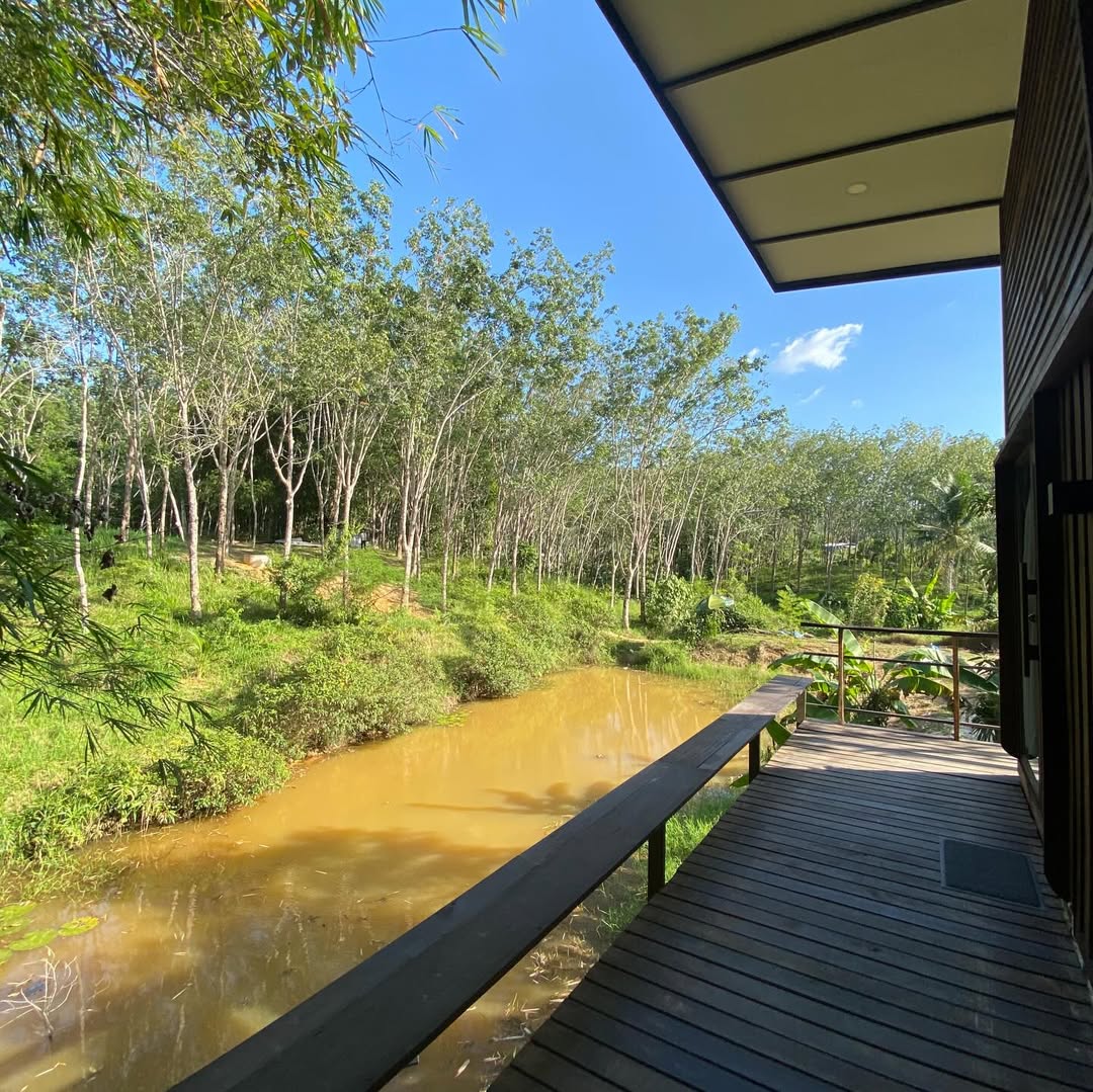 Terrace overlooking the pond and trees